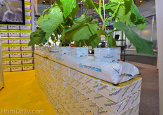 Fortaplant propagation block on Dutch Plantin cocoslab