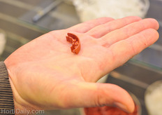 Bato introduces a new flexible clip. The patent on this system by Deleco ended recently.