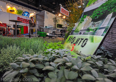 If there is one thing that veg growers can learn from ornamental growers, then it must be marketing. Ever thought about marketing living herbs as Mojito's?