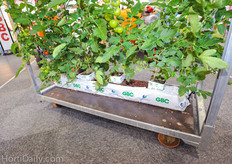 GBC is also supplier of Coir Project substrates