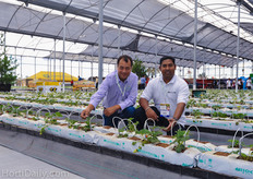 Edgar Leyton from Leyton Greenhouse Supply, is the Mexican distributor for Shan Halamba's Riococo substrate. Edgar Leyton and his team have made a big effort to make Riococo, one of the most popular coir substrates in Mexico. In return, they were proud to have the chance to promote their coir substrate at the high tech trialing site at the expo, where all of the crops were grown on Riococo slabs.