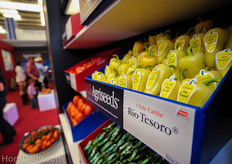 Rio Tesoro by US Agriseeds