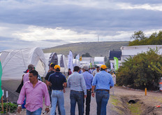 Let's go see some greenhouse trials.