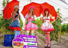 FMC's way to promote greenhouse crop protection