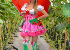 Stawberry Shortcake girl at FMC trial greenhouse.