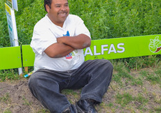 taking a rest at an Alfalfa field.