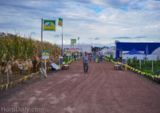 Next to greenhouse trials there were also trials for agricultural crops and open field vegetables.