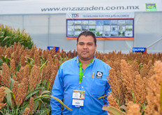 Each seed breeder had its own greenhouse for the medium tech trials. In the back you can see the one from Enza Zaden Mexico.