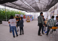 Enza Zaden greenhouse.