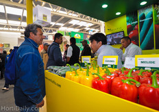 Excellent bell peppers on display at Fito Seeds booth
