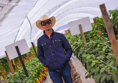 Vital crops were shown in every greenhouse.