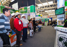 On Wednesday, the Mexican soccer team was playing a qualifying match against New Zealand. The Mexicans won the play offs with a royal 5-1 victory.