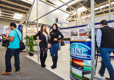 MSC Greenhouse structures.