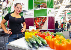 Ahern vegetable plants.