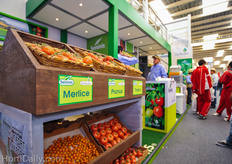 De Ruiters and Seminis varieties.