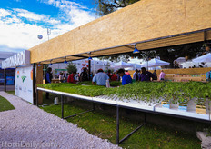 Mastronardi propagation demo