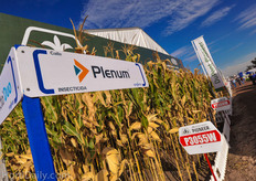 Outside, streets named after insecticides and pesticides.