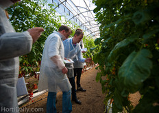 Syngenta's Peter Geerts discussing quality and taste.