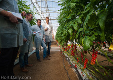 The crops at the demo greenhouse were sown on August 31, and propagated on Arnold rootstocks (also Syngenta)