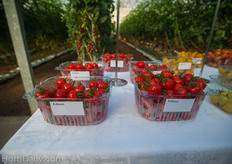Edioso is a popular specialty tomato with it;s deep red color and strawberry-pumpkin-shaped tomato.