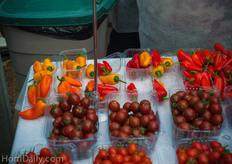 Above: Tri color mini peppers, below a Kumato type.