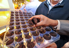 Seen at the Jiffy booth: A new coir propagation plug for Phalaenopsis. More on this later in HortiDaily.