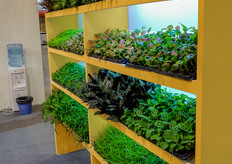 Sunshine Horticulture