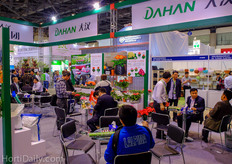 Dahan booth
