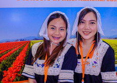 Beautiful Dutch promotion at the Holland pavilion.