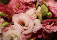 In the China Pavilion a lot of different flowers were exposed, such as these Lisianthus (or Eustoma).