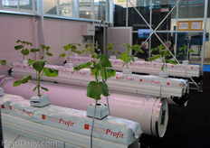 Bosman Van Zaal created a high-tech booth and invited several companies to promote themselves at the fair.