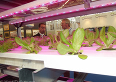 A view through the Codema-booth