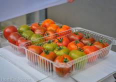 Presentation of tiger tomatoes; available in four different colors. Softer structure, easy to consume with a great taste explosion.