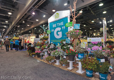 HGTV Home Plants