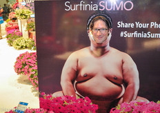 HortiDaily editor Boy de Nijs gained some pounds after eating too many king crab.