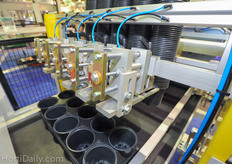 After destacking, the pots are automatically placed in the trays.