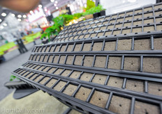 OASIS has improved their wedge with a smaller star-dribble hole. This results in a better germination, uniform rooting.