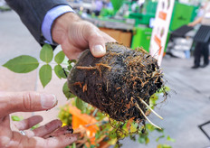 Ellepots at the booth of Blackmore