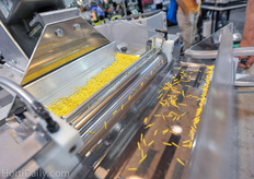 The new drum seeder of Blackmore is very accurate and will never pick more than 1 seed thanks to an ingenious system. More about this later on HortiDaily.com.