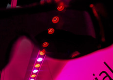 Philips will trial wit this new luminaire on a limit basis.