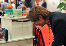 HortiDaily trying the Agrifast tool. Learn more about this in this article : http://www.hortidaily.com/article/9450/Dutch-growers-make-switch-to-alternative-clipping-system