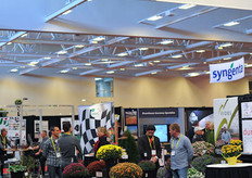 Fide varieties in the Dummen booth.