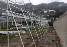 Poles are painted white