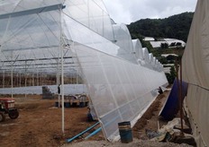 Plastic, netting and plastic again on the corridor area.