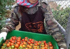 First Alma greenhouse in Thailand which makes the farmer and the workers smile.
