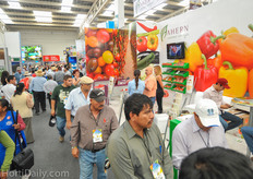 Ahern Seeds is a distributor of many breeders.