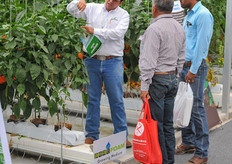 Sedrach Camacho of Seminis and De Ruiter giving some explanation of the trellising system.