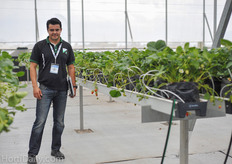 Alexander de Leon of Formflex. Formflex installed the gutter systems at the strawberry trials.