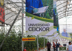 High tech gutter cultivation on display.