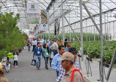 Plenty of cultivations to bee seen.